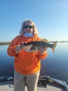 Florida Bass Fishing 2022